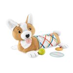Product Fisher-Price 3-in-1 Puppy Tummy Wedge (HJW10) thumbnail image