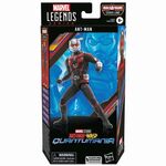Product Hasbro Marvel Legends Series Build a Figure Cassie Lang: Ant-Man and the Wasp Quantumania - Ant-Man Action Figure (15cm) (Excl.) (F6573) thumbnail image