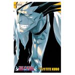 Product Bleach 3 in 1 Edition Vol.05 thumbnail image