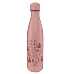 Product Disney Princess Metal Water Bottle thumbnail image