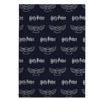 Product Harry Potter Flannele Blanket thumbnail image