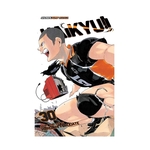 Product Haikyu!! Vol.30 thumbnail image