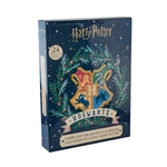 Product Harry Potter Advent Calendar Christmas In Wizarding World thumbnail image