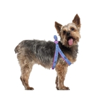 Product DC Comics Superman Dog Harness (Slim) thumbnail image