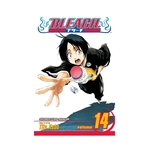 Product Bleach Vol.14 thumbnail image