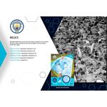 Product Topps 2023-24 Manchester City Official Team Set thumbnail image