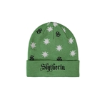 Product Harry Potter Slytherin Turn-Up Beanie thumbnail image