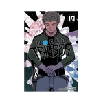 Product World Trigger Vol. 19 thumbnail image