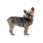 Product Star Wars Darth Vader Dog Harness (Slim) thumbnail image