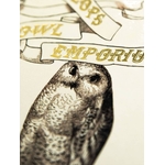 Product Harry Potter Eeylop's Owl Emporium Notecard thumbnail image