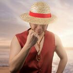 Product One Piece Straw Hat thumbnail image