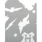 Product Harry Potter Hedwig Cushion thumbnail image