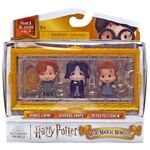 Product Spin Master Harry Potter: Micro Magical Moments - Remus Lupin/Severus Snape/Peter Pettigrew Figure Set (6069444) thumbnail image