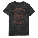 Product Harry Potter Gryffindor Hogwarts Alumni Vintage Style Adults T-Shirt thumbnail image