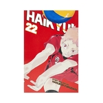 Product Haikyu!! Vol.22 thumbnail image