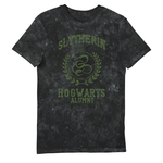 Product Harry Potter Slytherin Hogwarts Alumni Vintage Style Adults T-Shirt thumbnail image