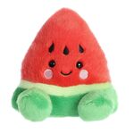 Product Palm Pals Sandy Watermelon thumbnail image