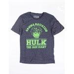 Product Marvel The Incredible Hulk College T-Shirt thumbnail image