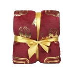 Product Harry Potter Gryffindor Blanket thumbnail image