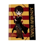 Product Harry Potter Folder Random thumbnail image