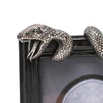 Product Κάδρο Harry Potter Dark Arts Nagini thumbnail image