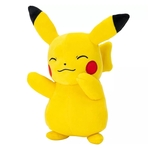 Product Pokemon Pikatchu Plush thumbnail image