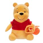 Product Λούτρινο Winnie The Pooh With Blanket thumbnail image