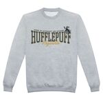 Product Φούτερ Harry Potter Hufflepuff Collegiate thumbnail image