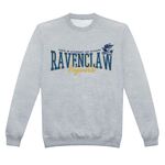 Product Φούτερ Harry Potter Ravenclaw Collegiate thumbnail image