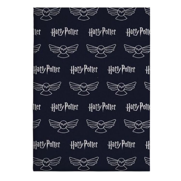 Product Harry Potter Flannele Blanket image