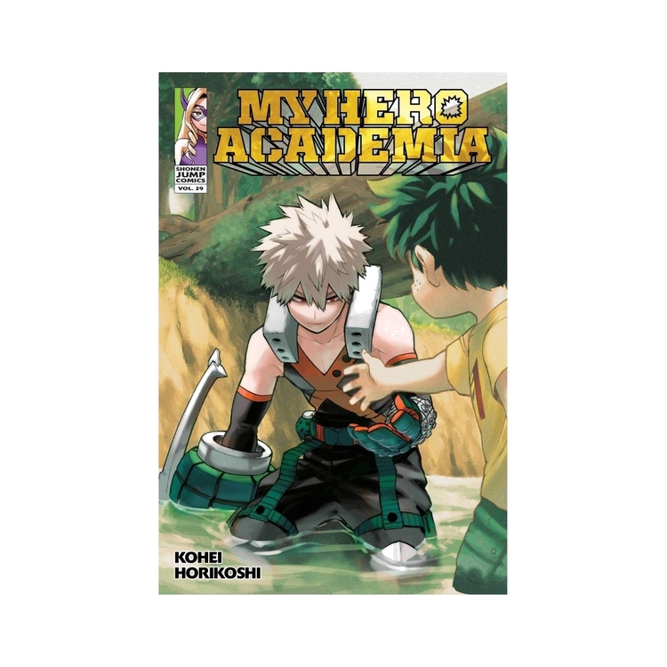 Product My Hero Academia Vol.29 image