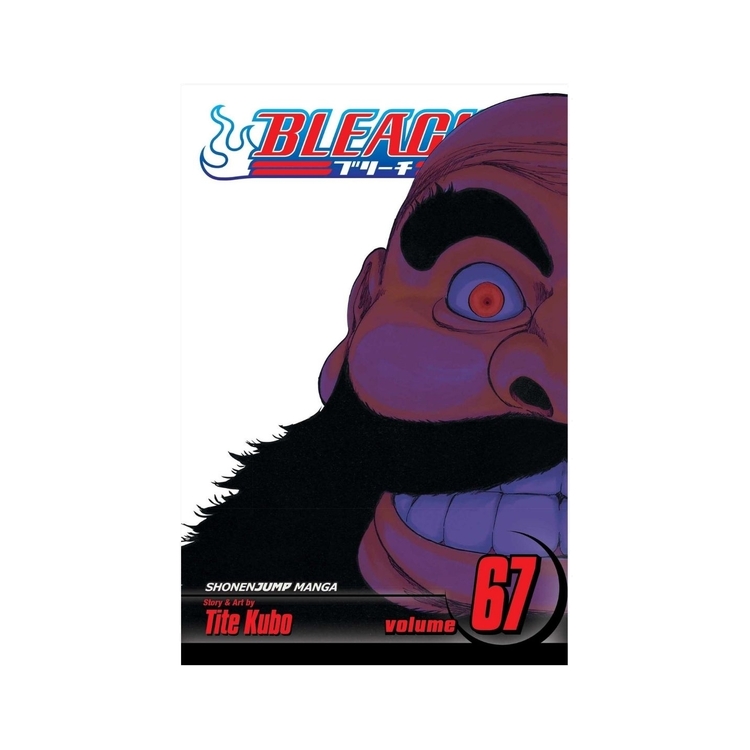 Product Bleach Vol.67 image