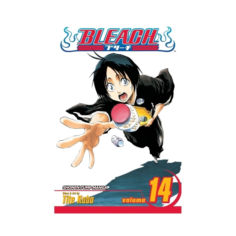 Product Bleach Vol.14 image