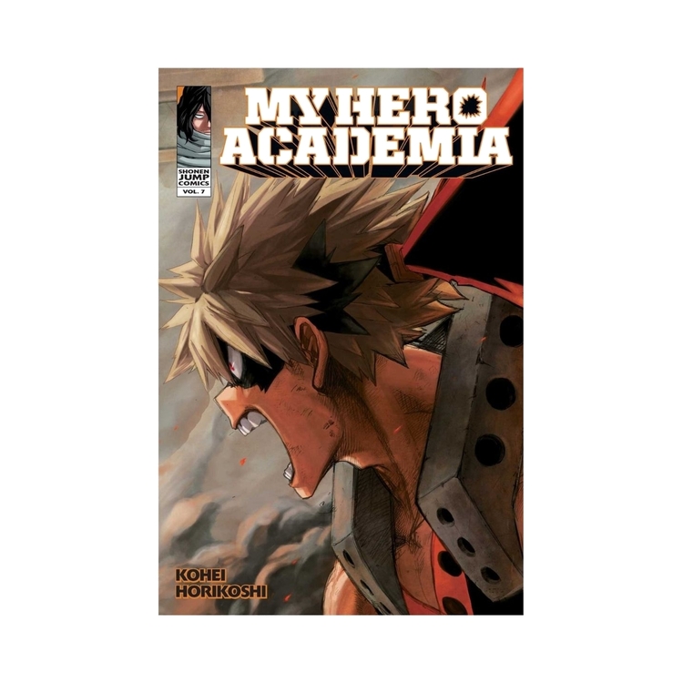 Product My Hero Academia Vol.7 image