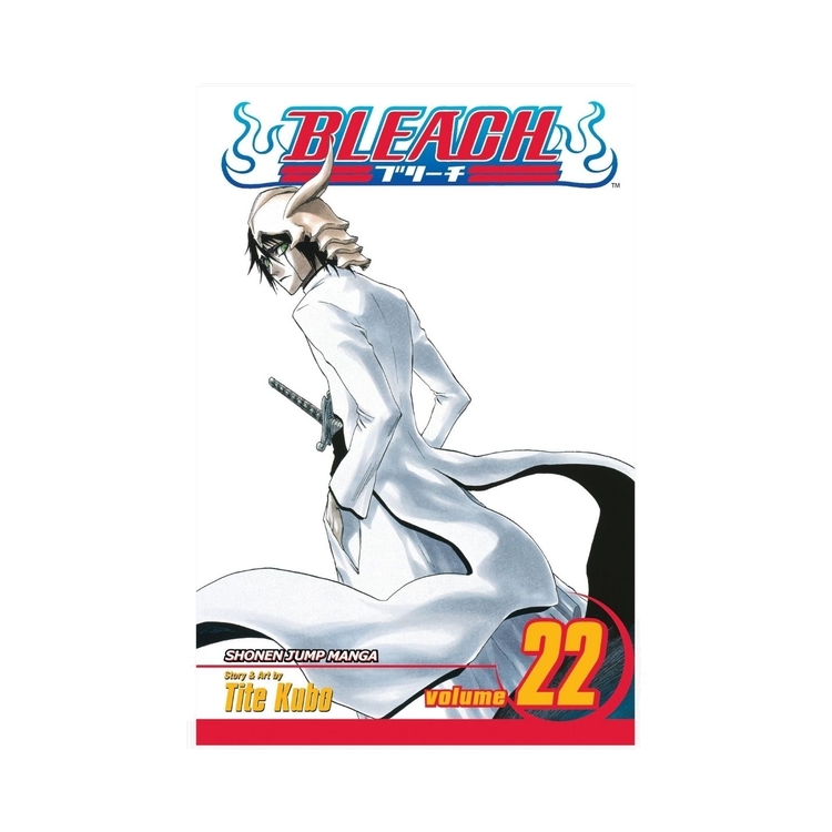 Product Bleach Vol.22 image