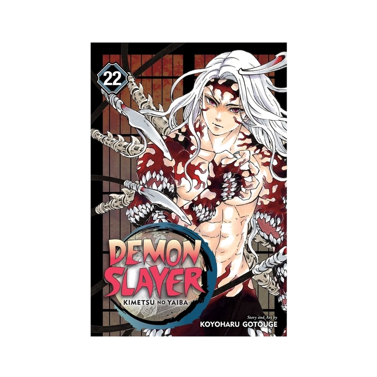 Product Demon Slayer Vol. 22 image