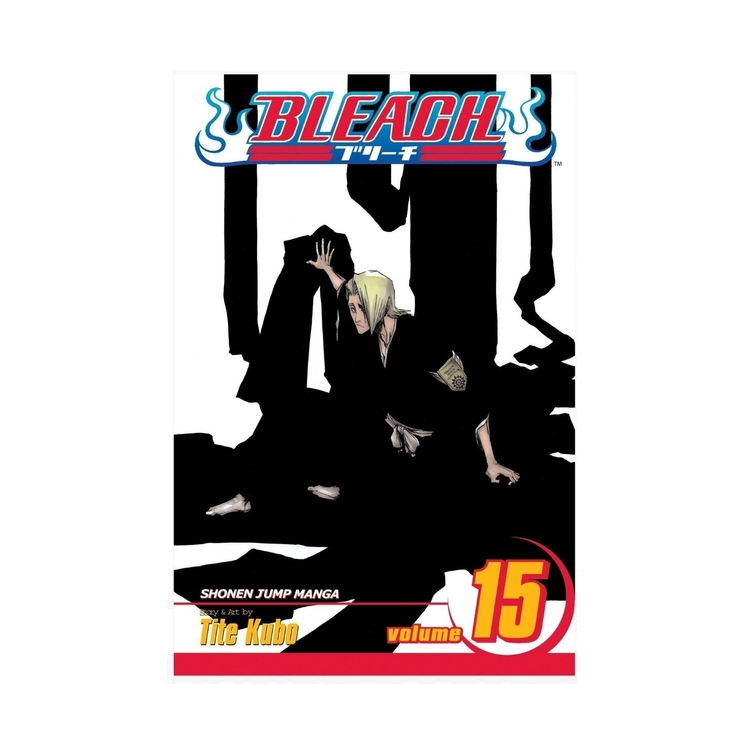 Product Bleach Vol.15 image