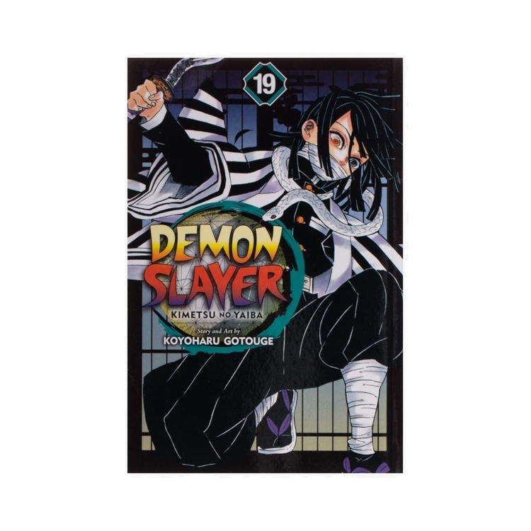 Product Demon Slayer Vol.19 image