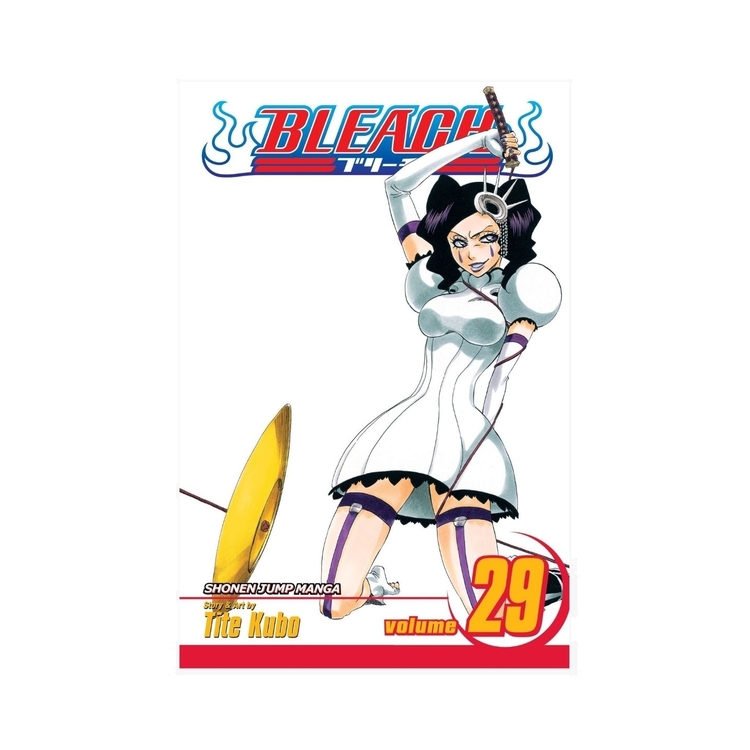 Product Bleach Vol.29 image