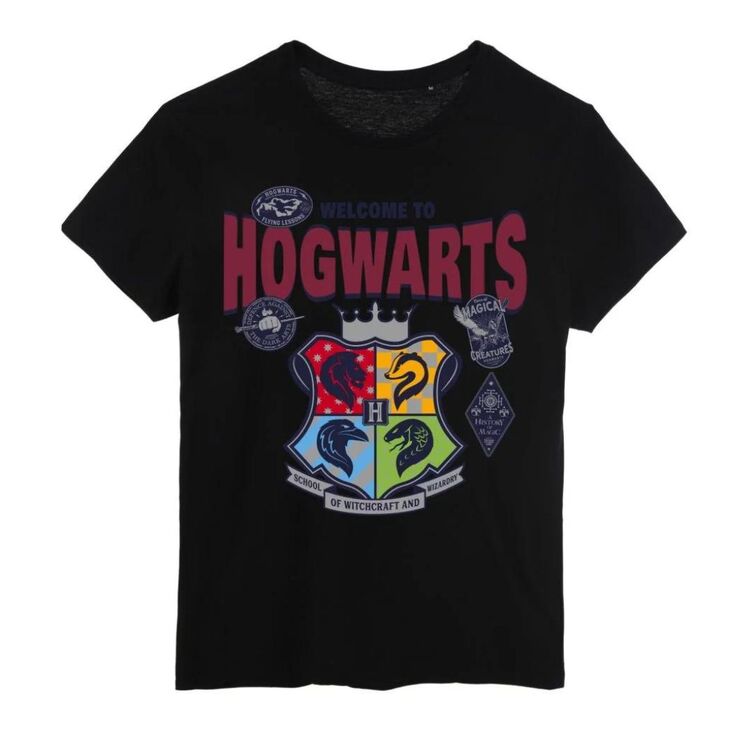 Product Harry Potter Hogwarts 4 Houses T-shirt image