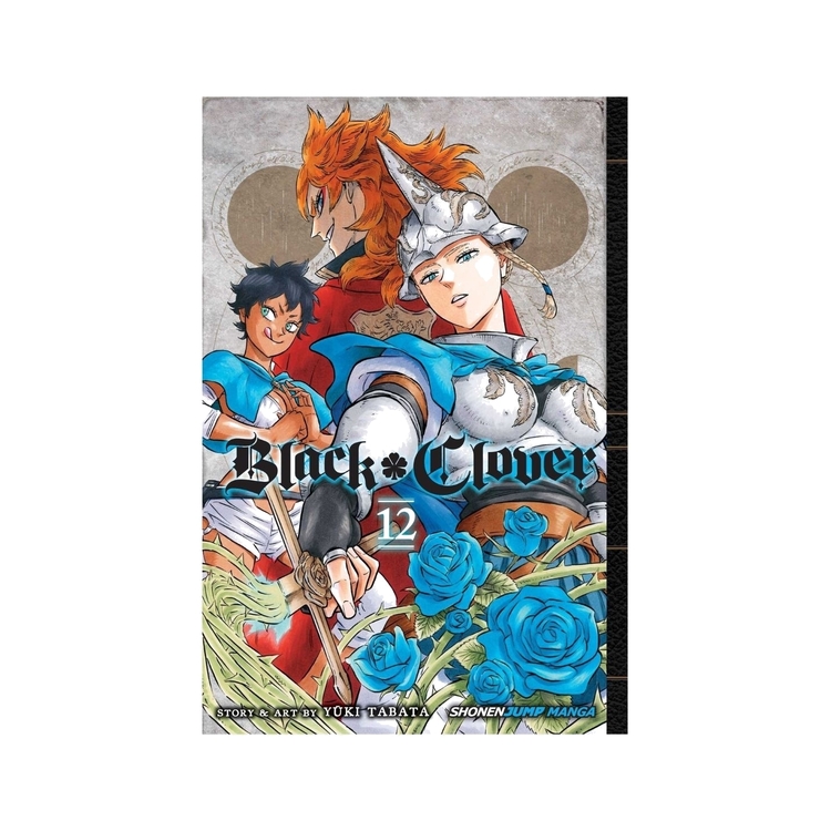 Product Black Clover Vol.12 image