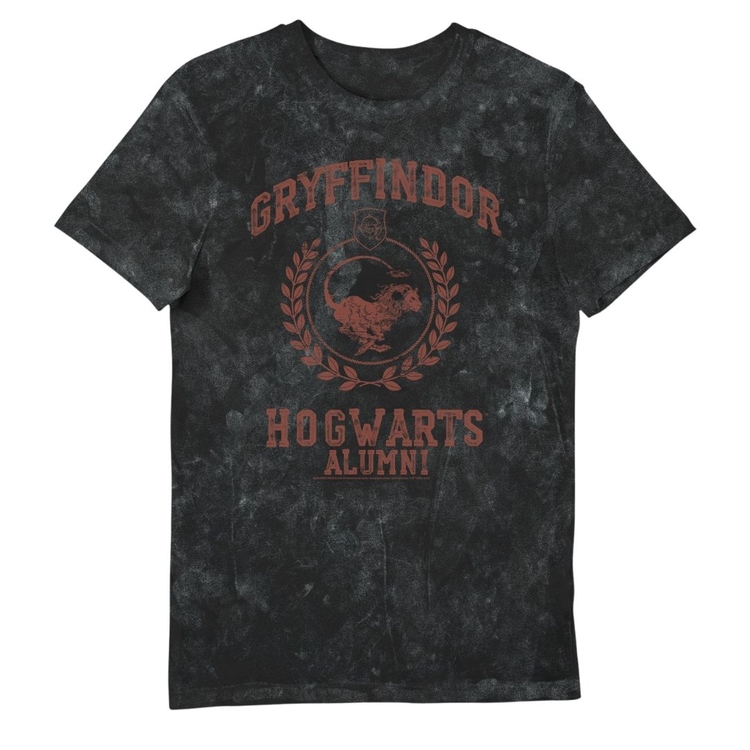 Product Harry Potter Gryffindor Hogwarts Alumni Vintage Style Adults T-Shirt image