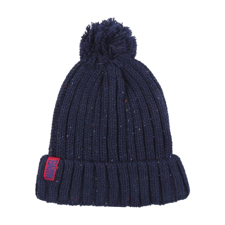 Product Marvel Pom Pom Beanie image