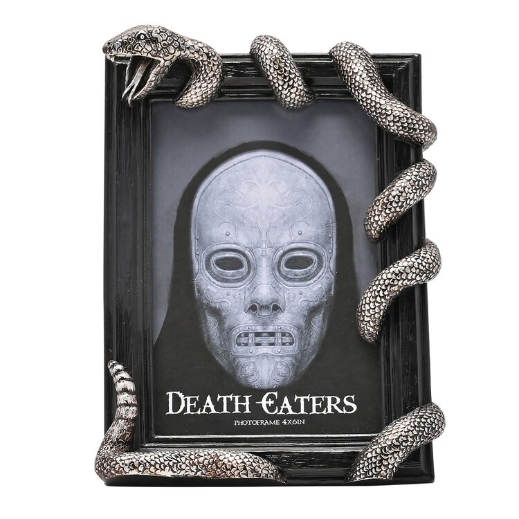 Product Κάδρο Harry Potter Dark Arts Nagini image