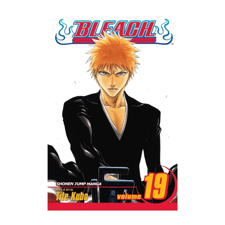 Product Bleach Vol.19 image