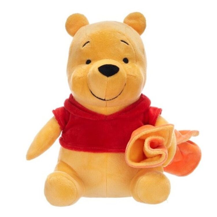 Product Winnie The Pooh With Blanket image